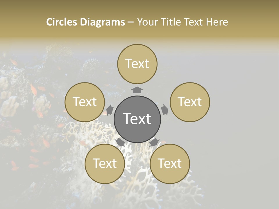 Poisson Perroquet Bouteilles De Plong Eau PowerPoint Template