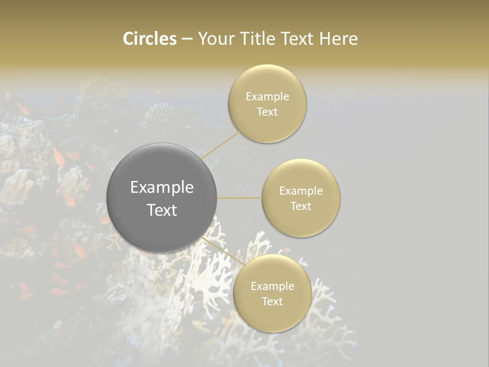 Poisson Perroquet Bouteilles De Plong Eau PowerPoint Template