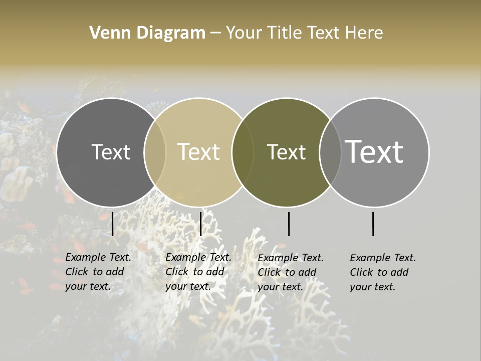 Poisson Perroquet Bouteilles De Plong Eau PowerPoint Template