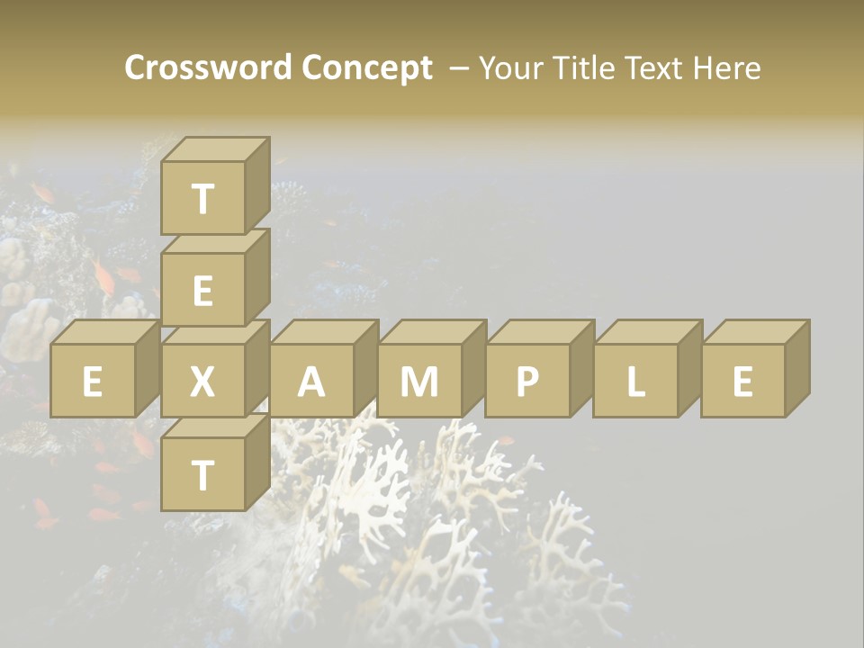 Poisson Perroquet Bouteilles De Plong Eau PowerPoint Template