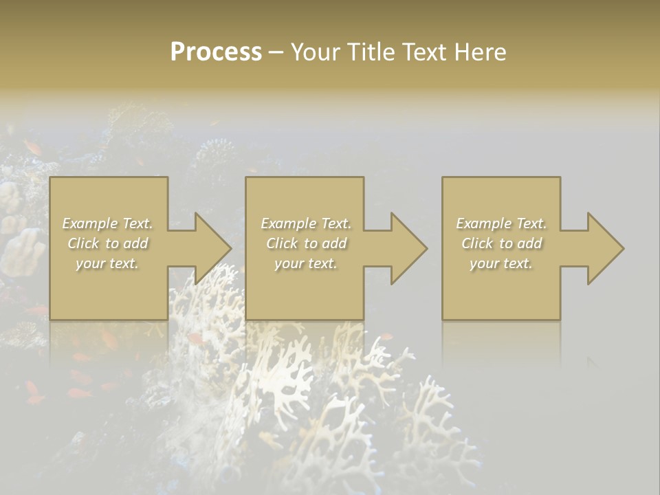 Poisson Perroquet Bouteilles De Plong Eau PowerPoint Template