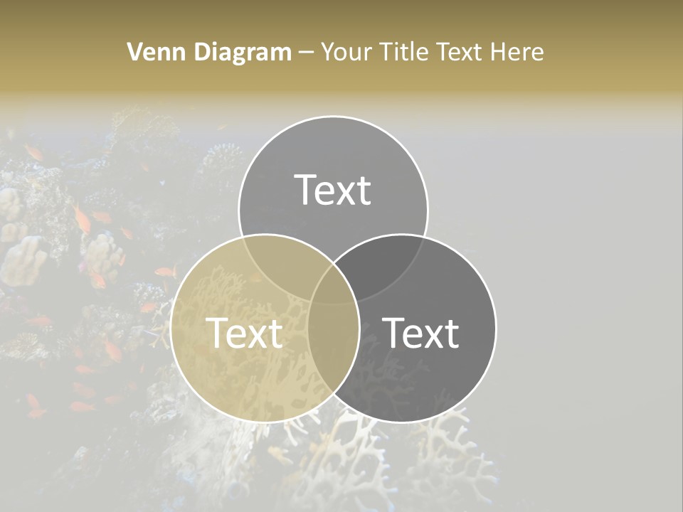 Poisson Perroquet Bouteilles De Plong Eau PowerPoint Template