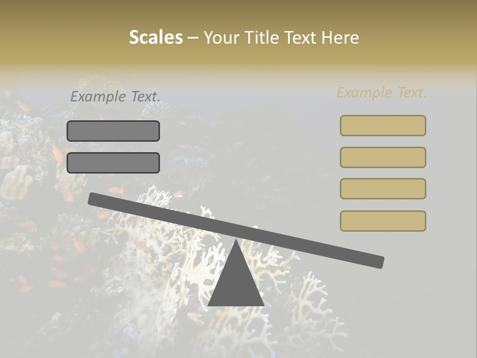 Poisson Perroquet Bouteilles De Plong Eau PowerPoint Template