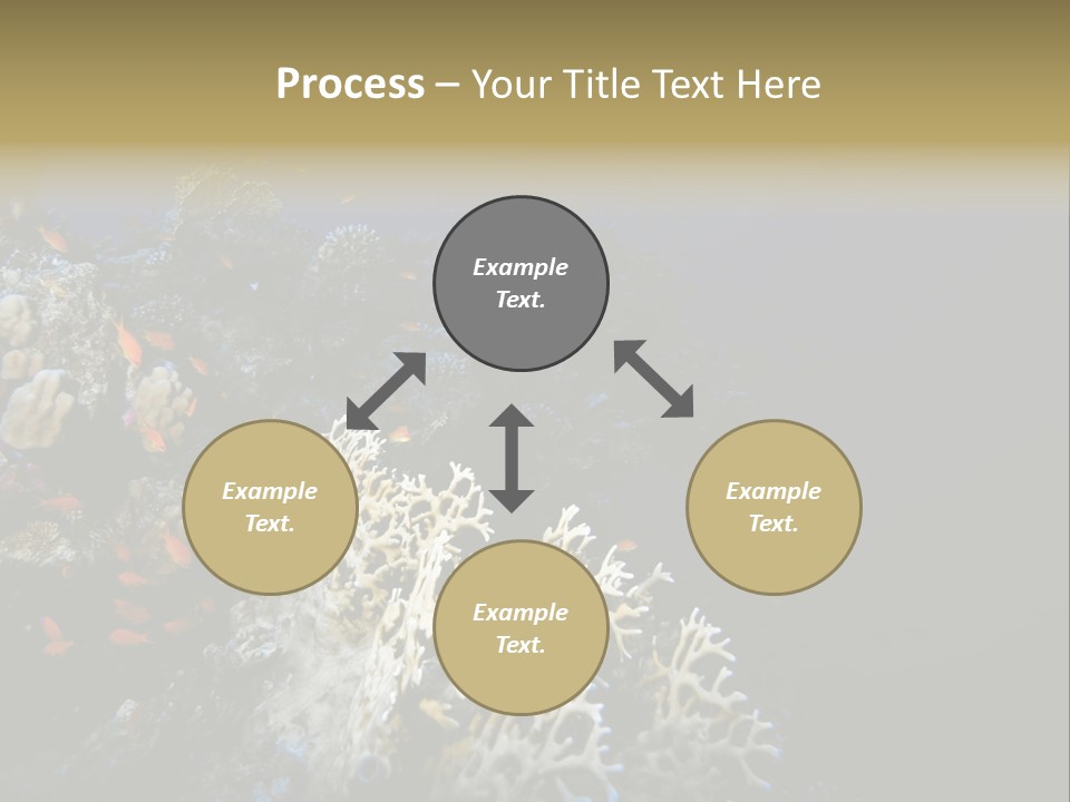 Poisson Perroquet Bouteilles De Plong Eau PowerPoint Template