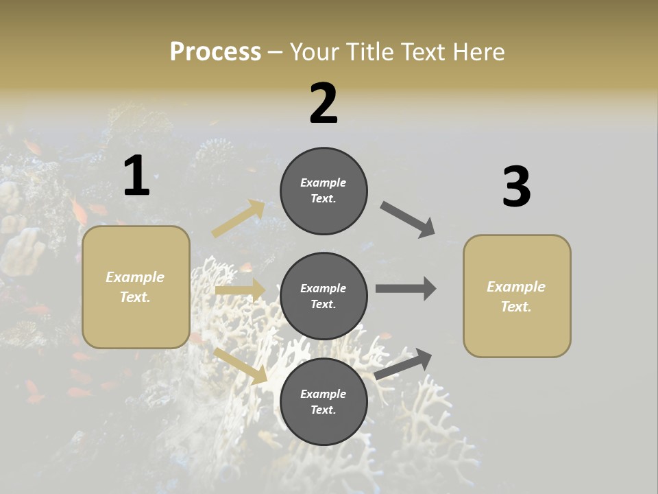 Poisson Perroquet Bouteilles De Plong Eau PowerPoint Template