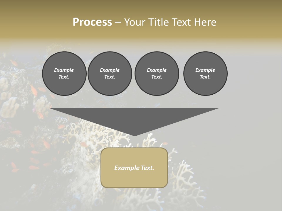 Poisson Perroquet Bouteilles De Plong Eau PowerPoint Template