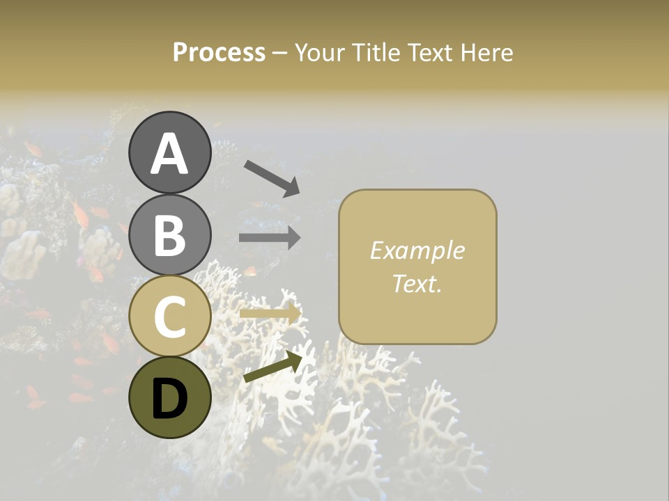 Poisson Perroquet Bouteilles De Plong Eau PowerPoint Template