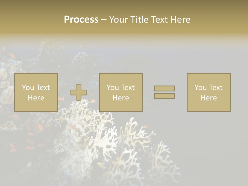 Poisson Perroquet Bouteilles De Plong Eau PowerPoint Template