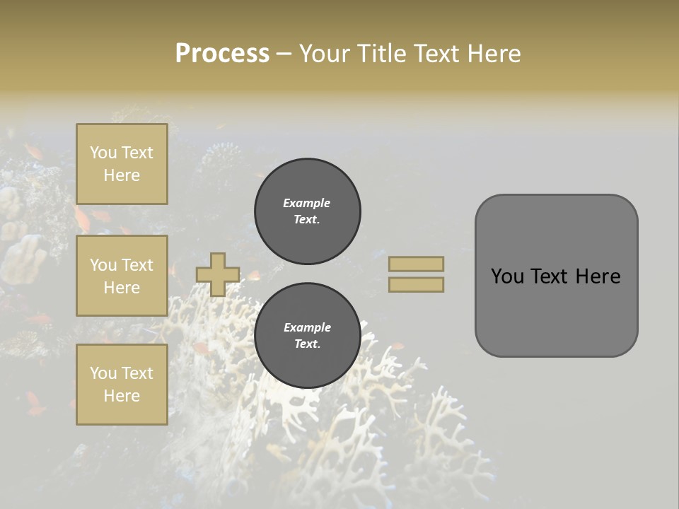 Poisson Perroquet Bouteilles De Plong Eau PowerPoint Template