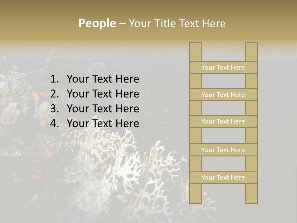 Poisson Perroquet Bouteilles De Plong Eau PowerPoint Template