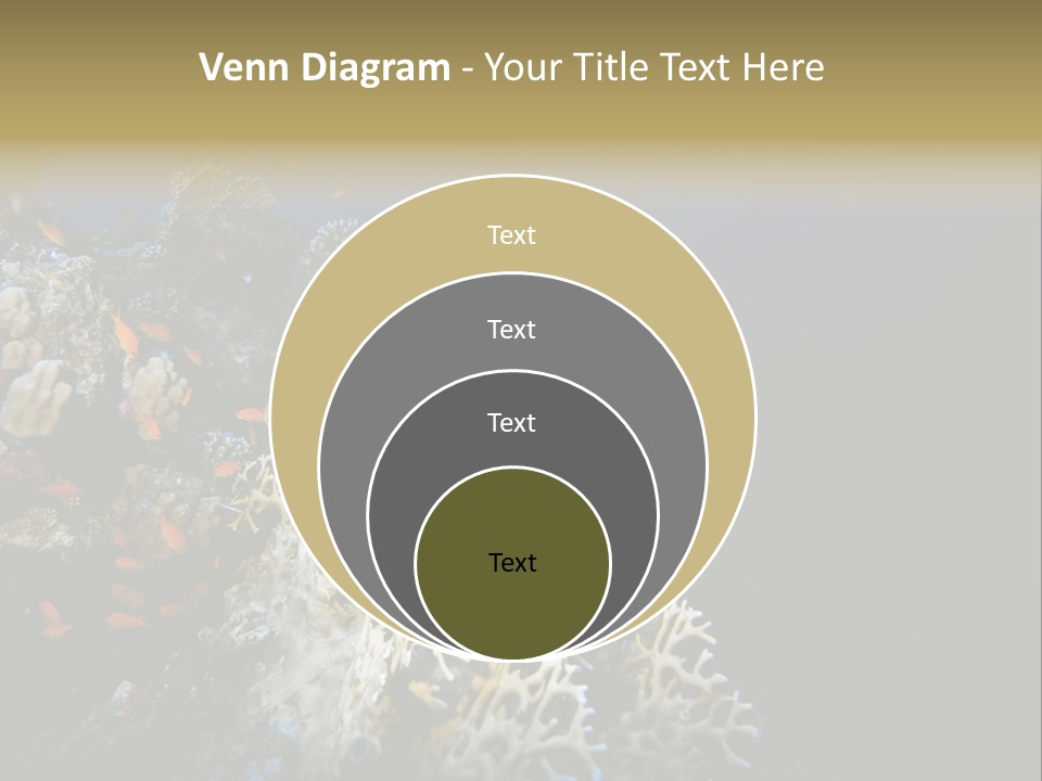 Poisson Perroquet Bouteilles De Plong Eau PowerPoint Template