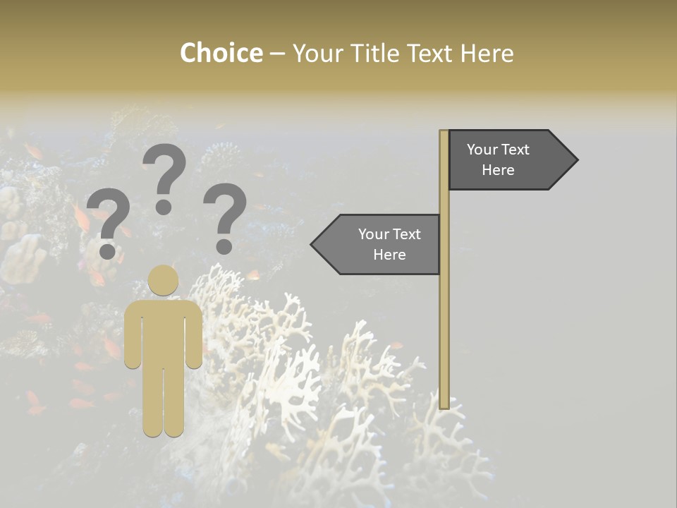 Poisson Perroquet Bouteilles De Plong Eau PowerPoint Template