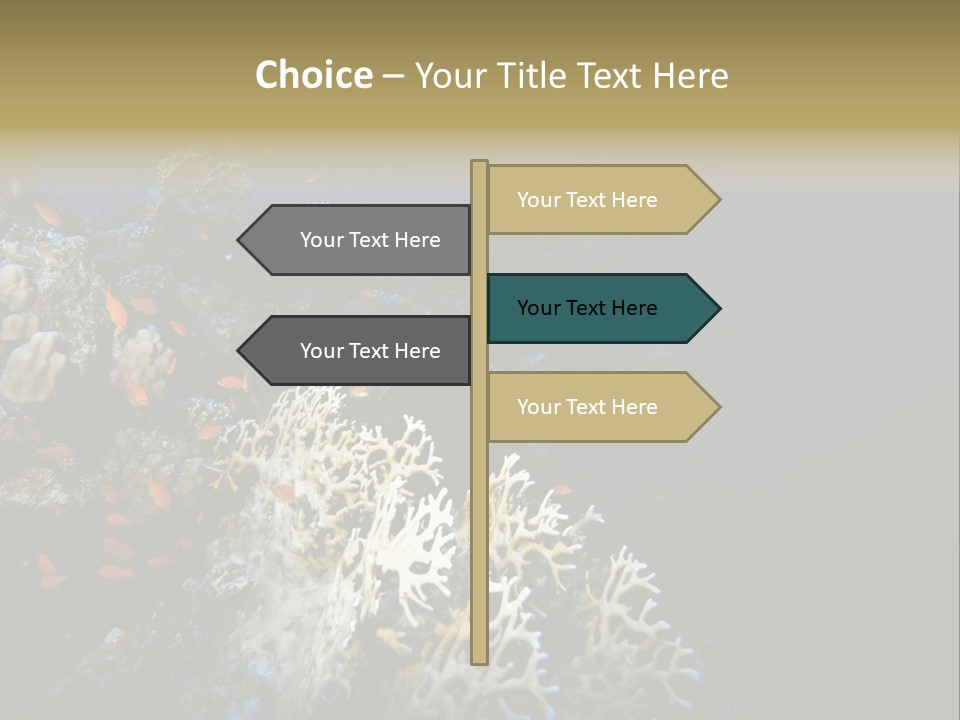 Poisson Perroquet Bouteilles De Plong Eau PowerPoint Template