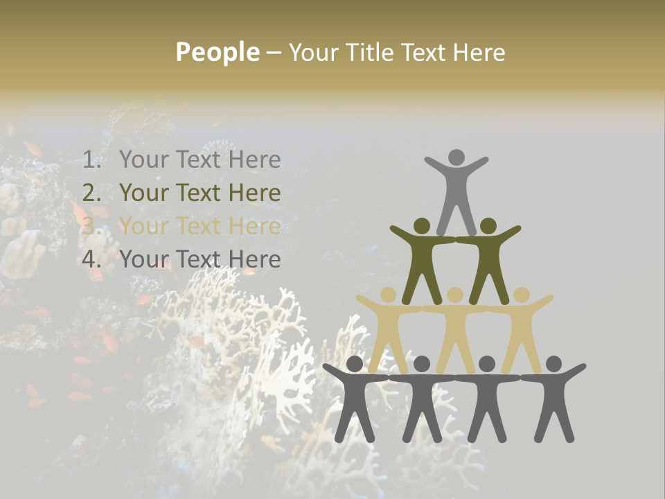 Poisson Perroquet Bouteilles De Plong Eau PowerPoint Template