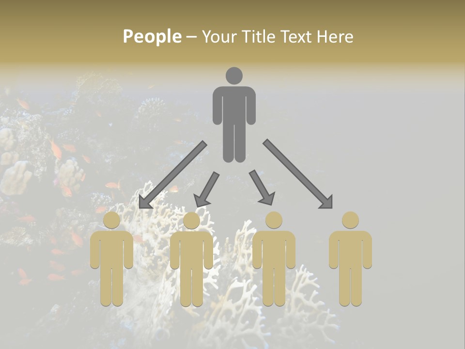 Poisson Perroquet Bouteilles De Plong Eau PowerPoint Template