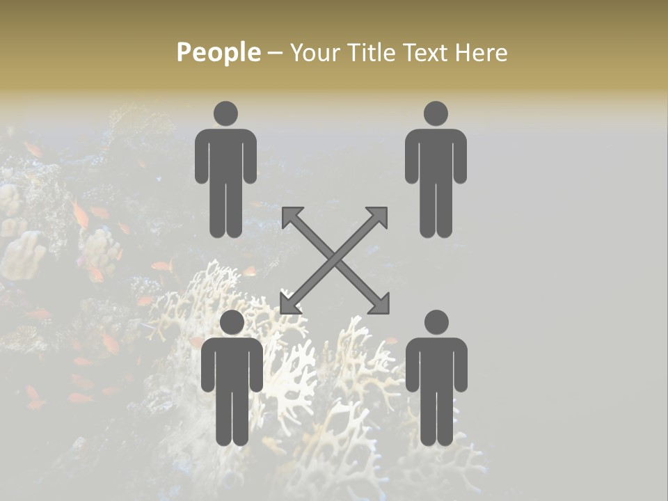 Poisson Perroquet Bouteilles De Plong Eau PowerPoint Template