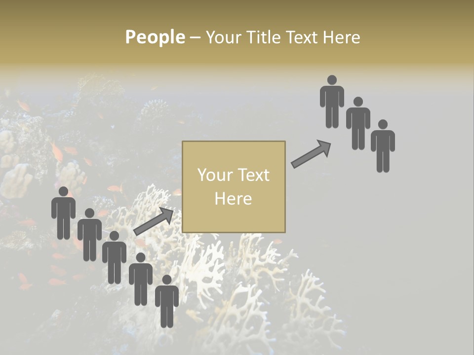 Poisson Perroquet Bouteilles De Plong Eau PowerPoint Template