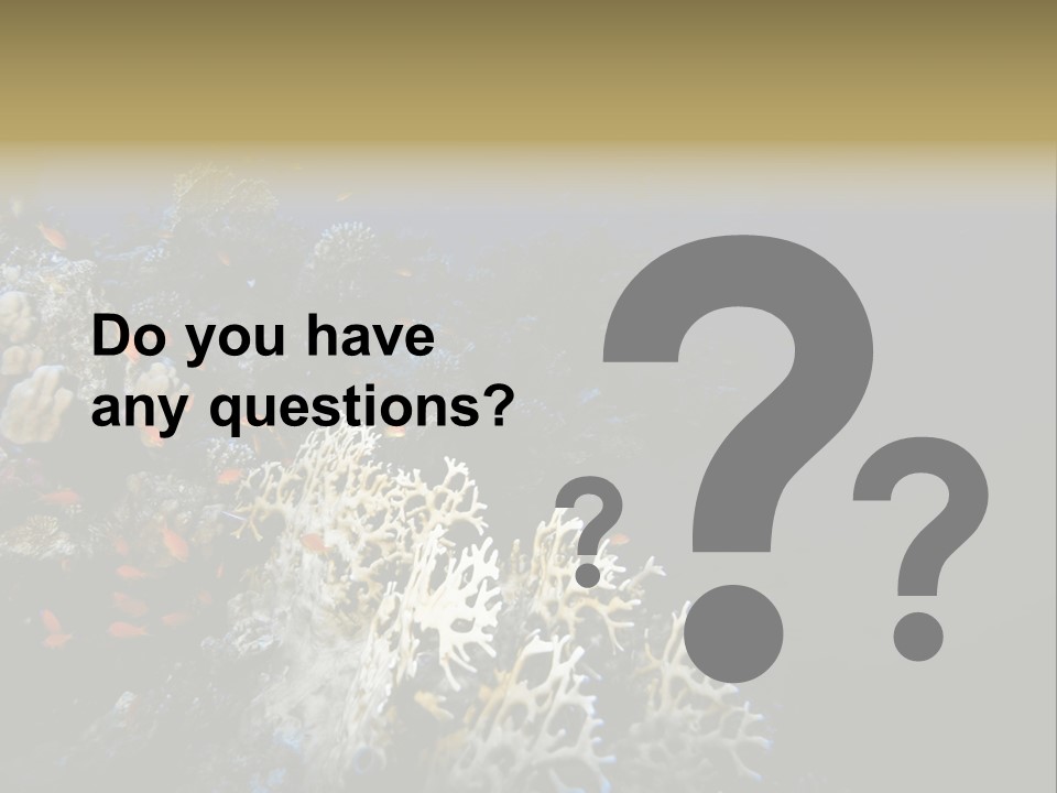 Poisson Perroquet Bouteilles De Plong Eau PowerPoint Template