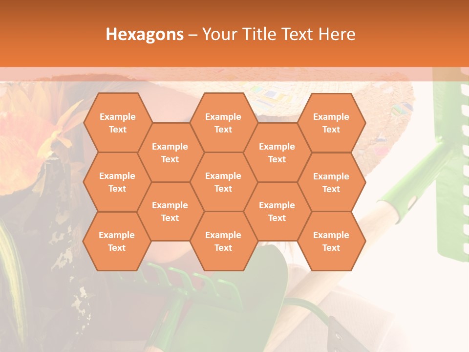 Care Nature Years PowerPoint Template