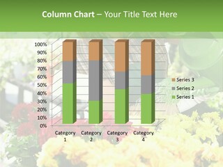 Cut Look Joy PowerPoint Template