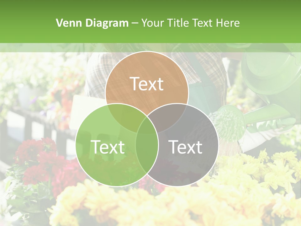 Cut Look Joy PowerPoint Template