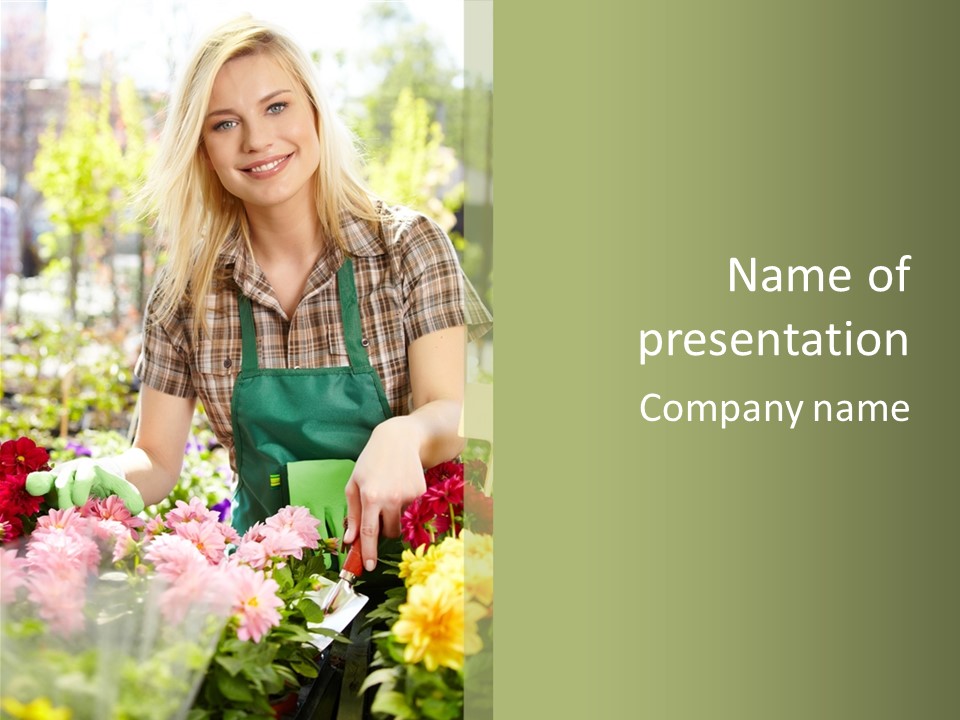 Business Small Colorful PowerPoint Template