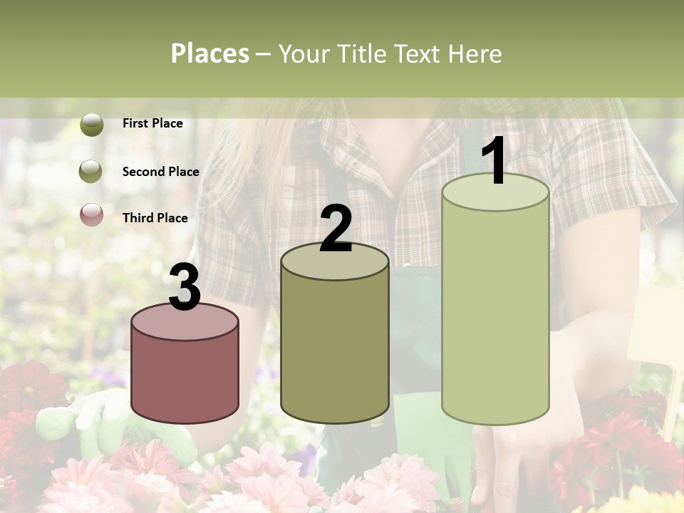 Business Small Colorful PowerPoint Template