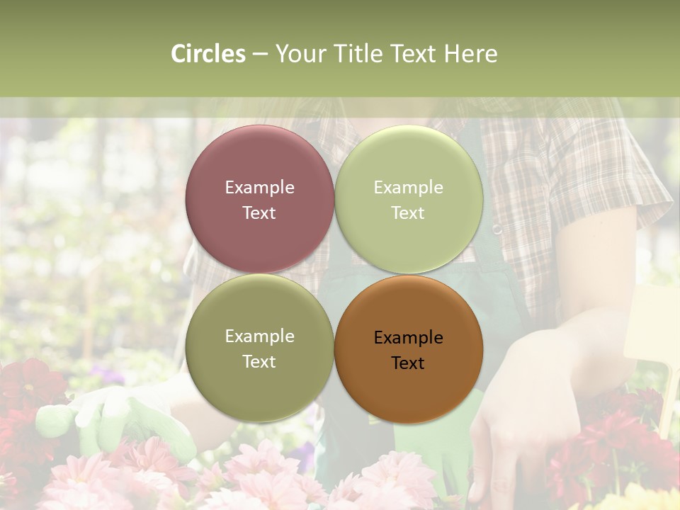 Business Small Colorful PowerPoint Template