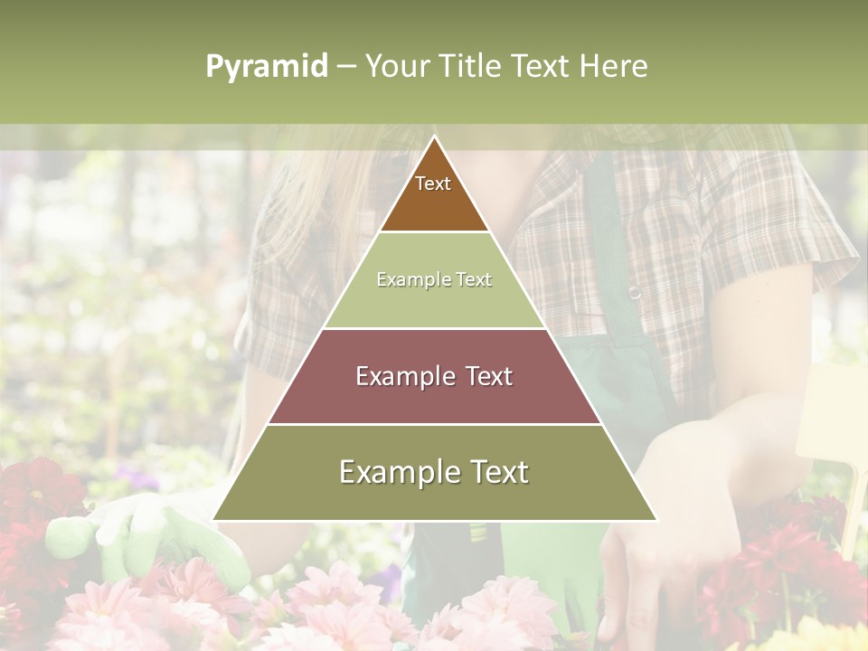 Business Small Colorful PowerPoint Template