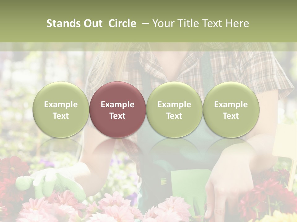 Business Small Colorful PowerPoint Template