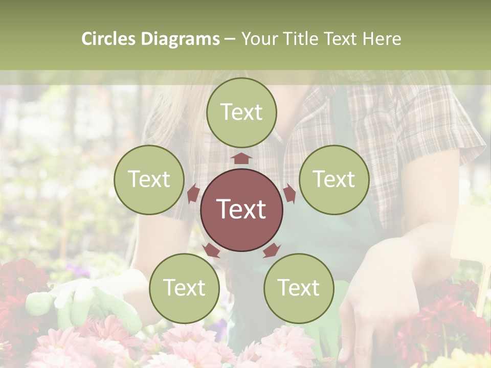 Business Small Colorful PowerPoint Template