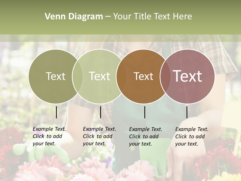 Business Small Colorful PowerPoint Template