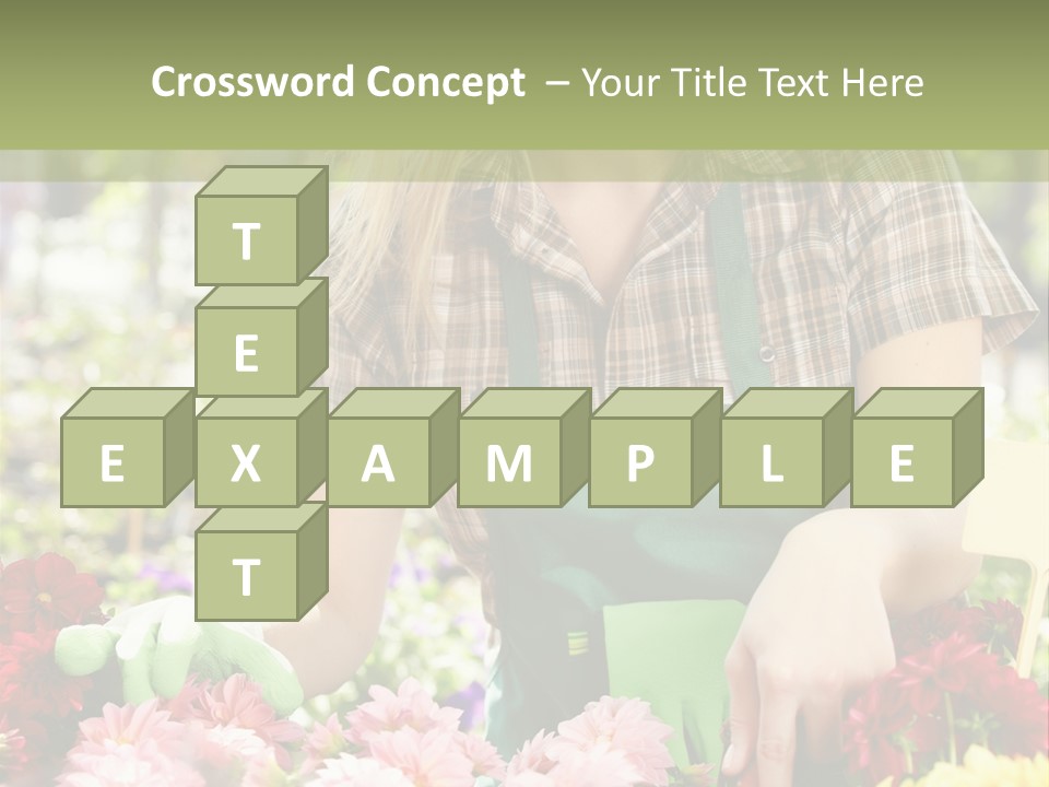 Business Small Colorful PowerPoint Template