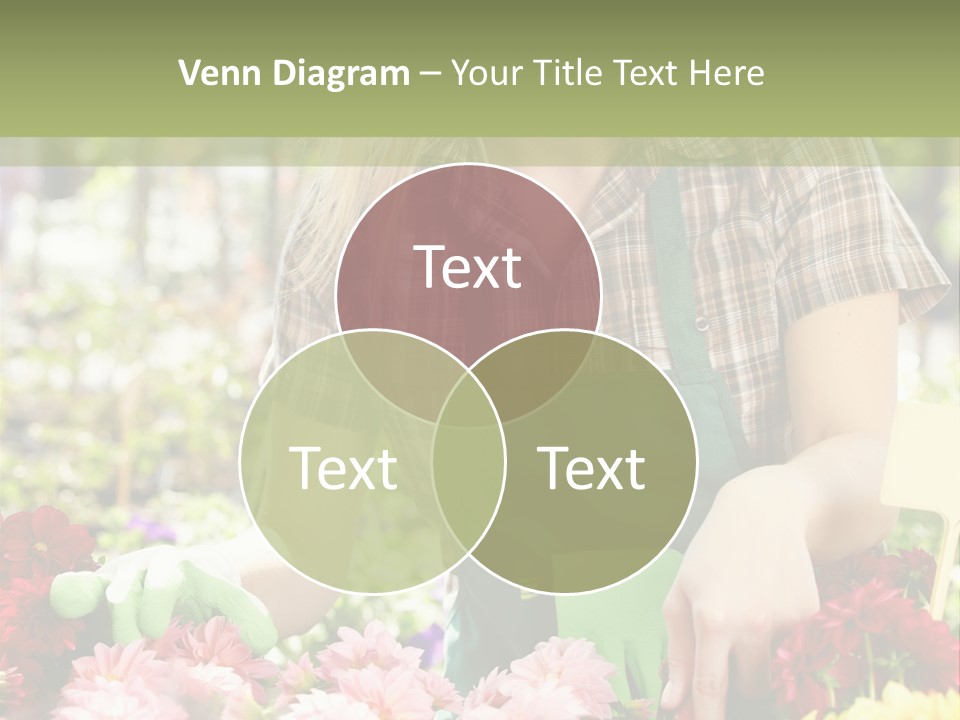 Business Small Colorful PowerPoint Template