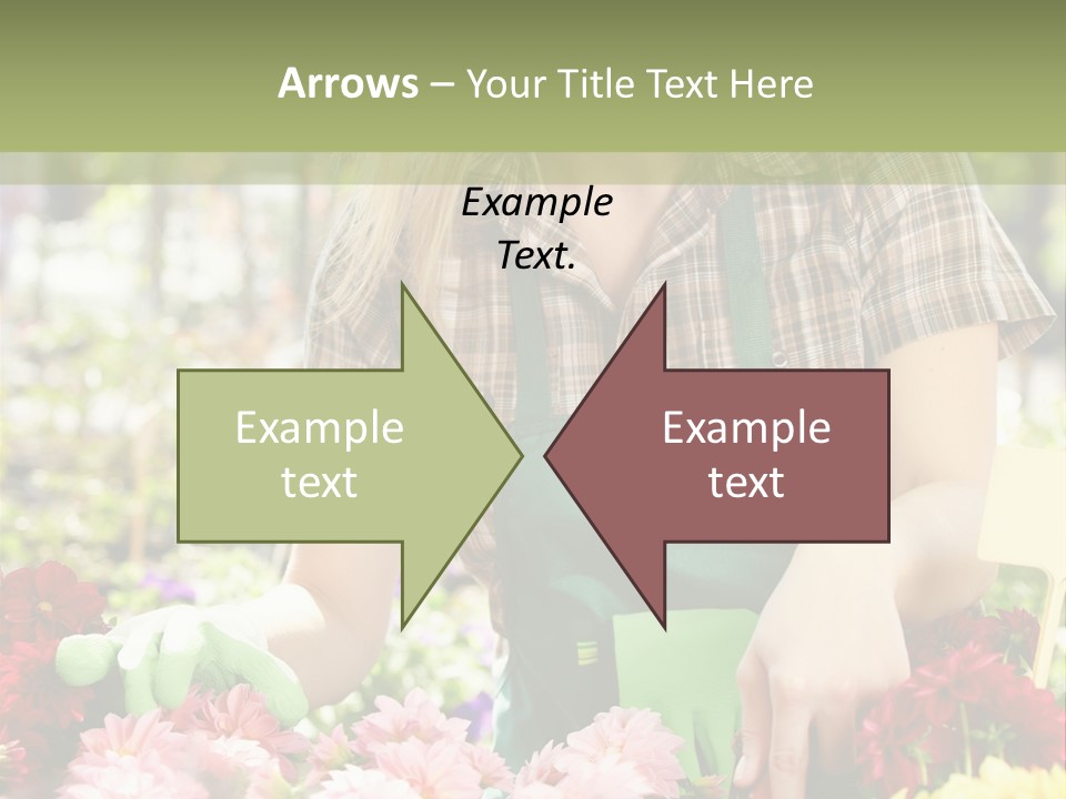 Business Small Colorful PowerPoint Template