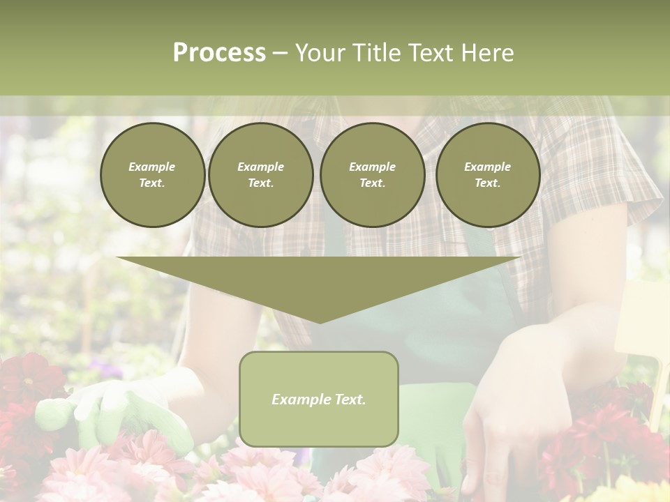 Business Small Colorful PowerPoint Template