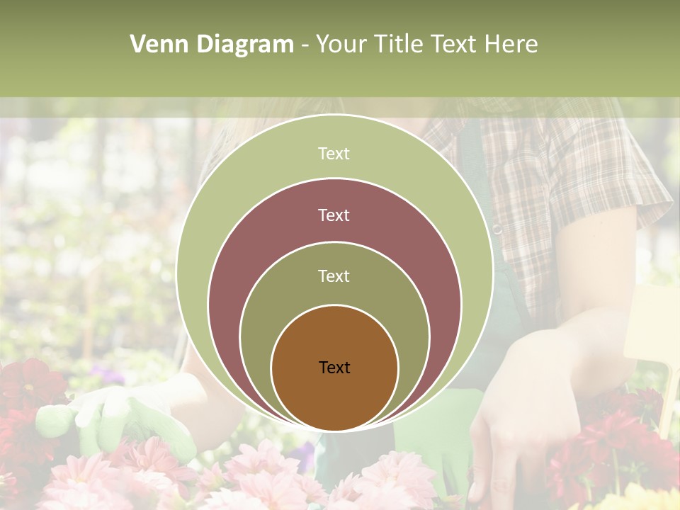 Business Small Colorful PowerPoint Template