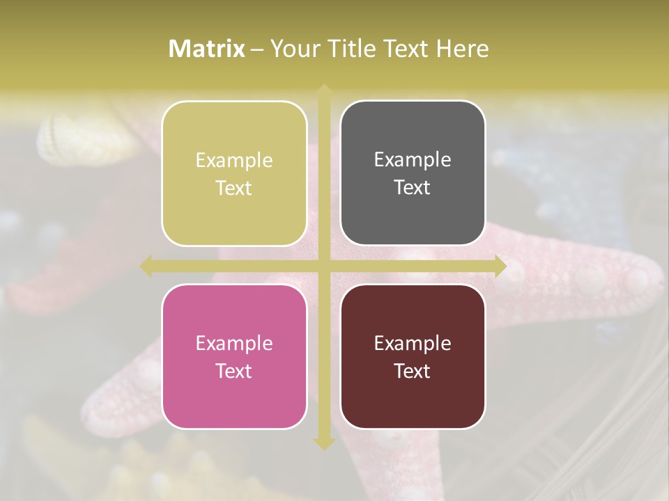 Aquatic Star Echinoderm PowerPoint Template