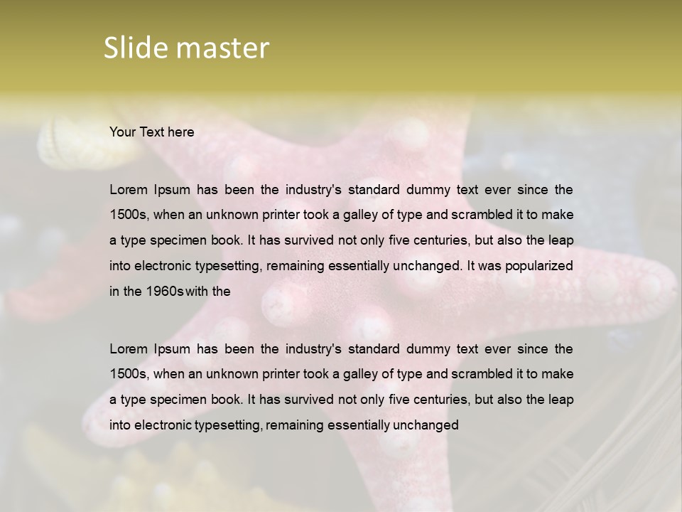 Aquatic Star Echinoderm PowerPoint Template