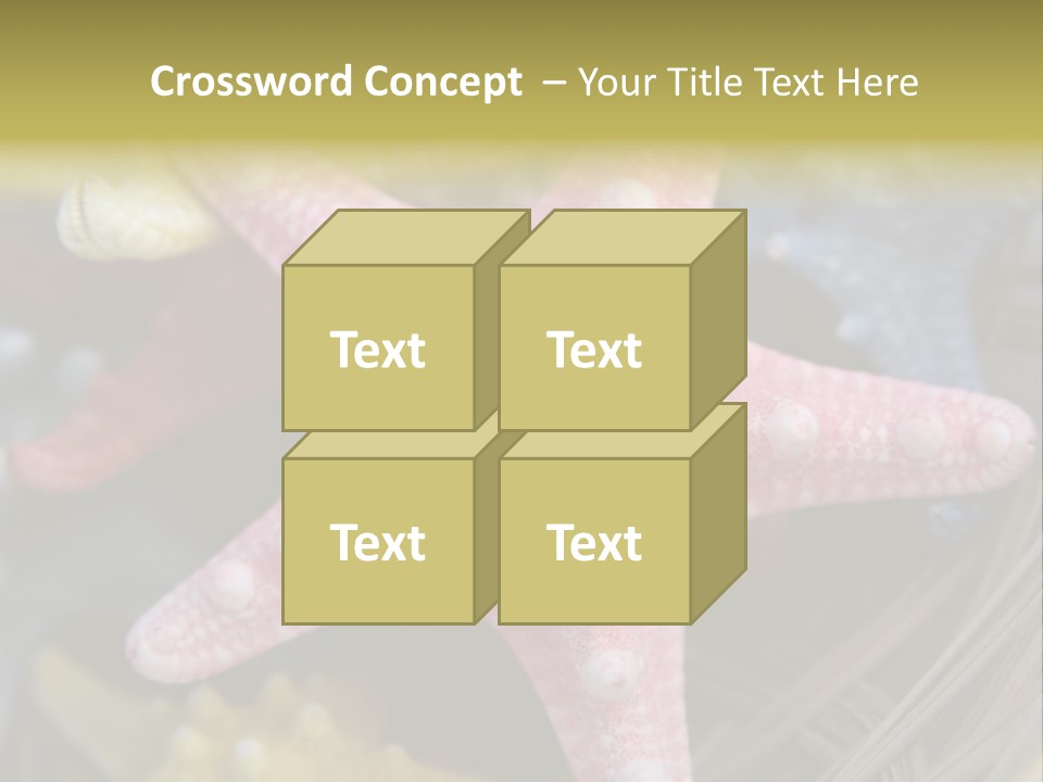 Aquatic Star Echinoderm PowerPoint Template