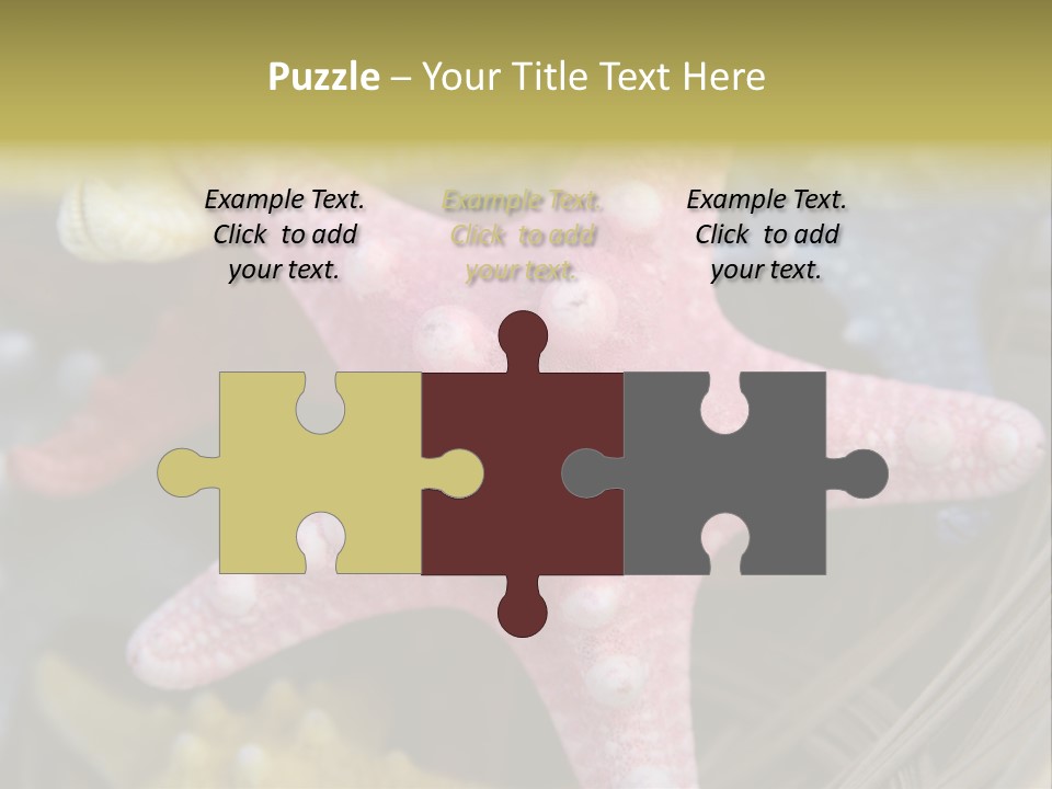 Aquatic Star Echinoderm PowerPoint Template