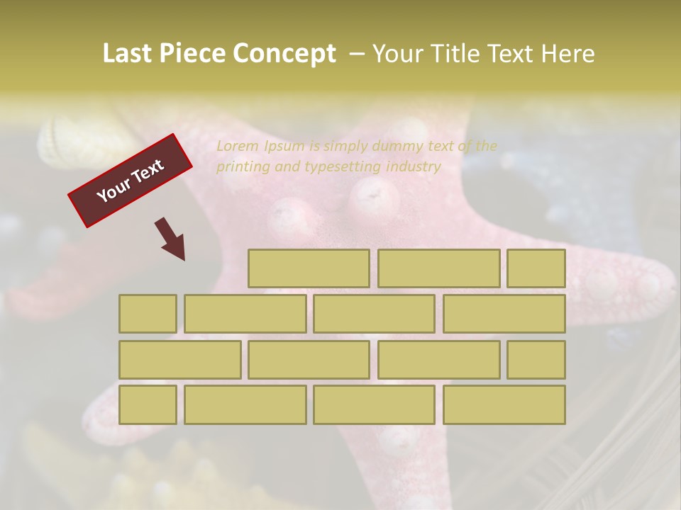 Aquatic Star Echinoderm PowerPoint Template