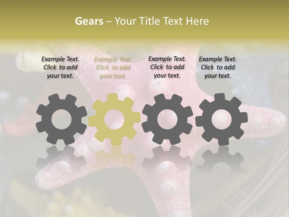 Aquatic Star Echinoderm PowerPoint Template