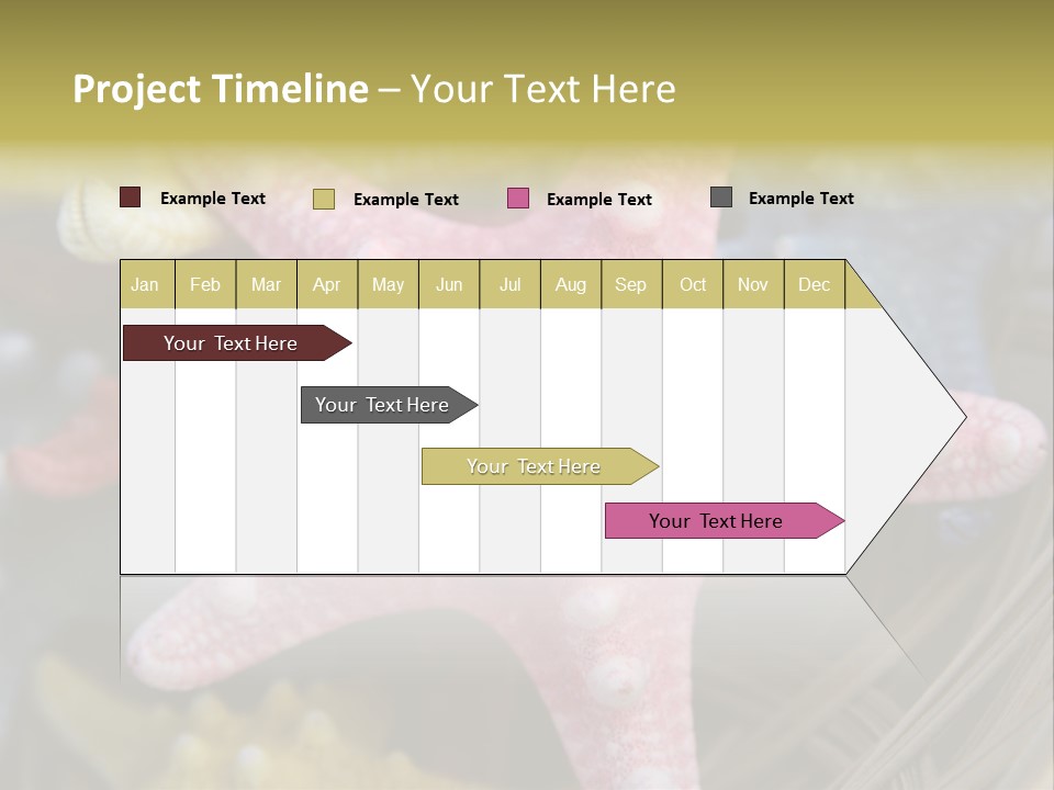 Aquatic Star Echinoderm PowerPoint Template