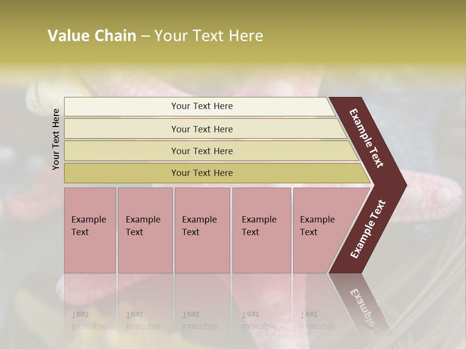 Aquatic Star Echinoderm PowerPoint Template