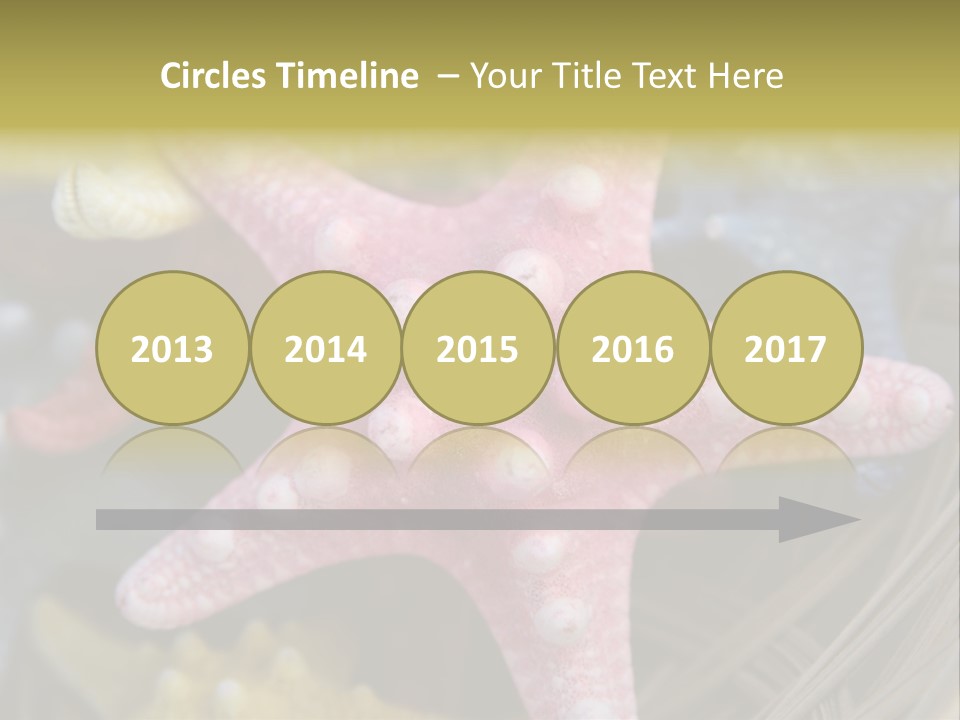 Aquatic Star Echinoderm PowerPoint Template