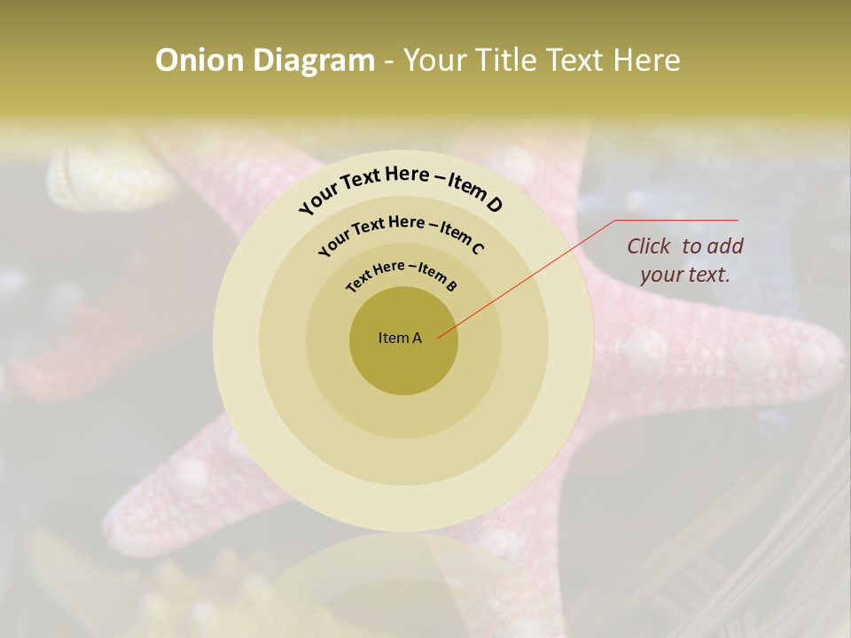 Aquatic Star Echinoderm PowerPoint Template