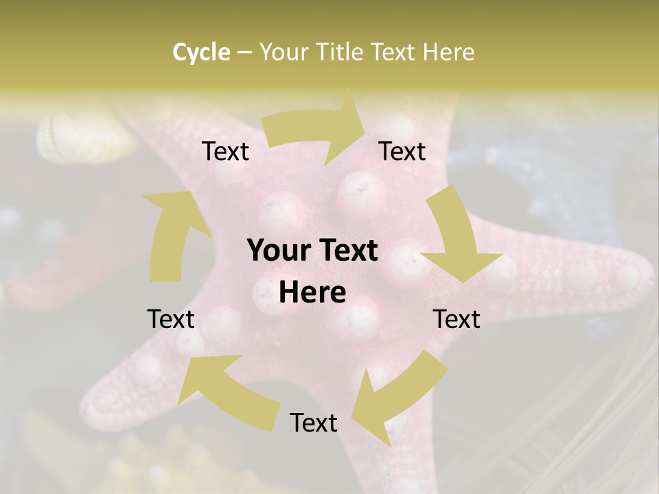Aquatic Star Echinoderm PowerPoint Template