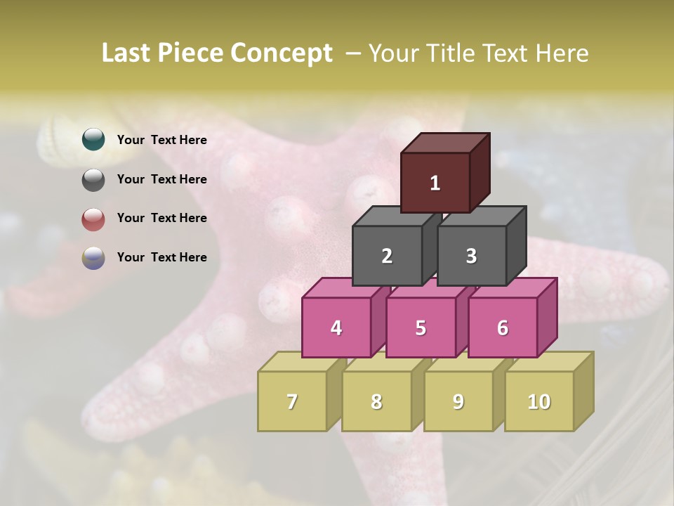 Aquatic Star Echinoderm PowerPoint Template