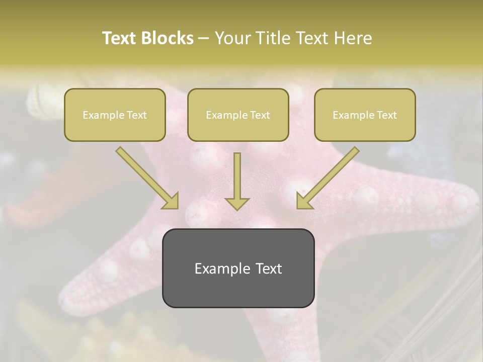 Aquatic Star Echinoderm PowerPoint Template